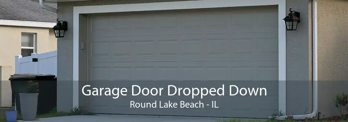 Garage Door Dropped Down Round Lake Beach - IL